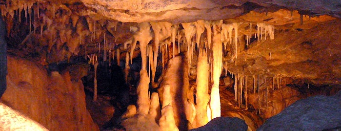 Grottes de Hotton is one of Belgium / #4sq365be (2).
