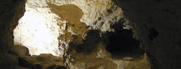 Neolithic Flint Mines of Spiennes is one of To Belgium.