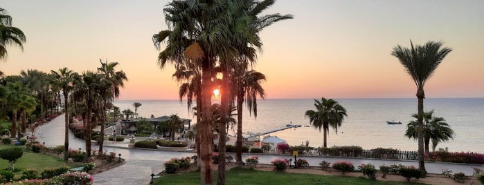 Hyatt Regency Sharm El Sheikh Resort is one of Lugares favoritos de Dmitriy.