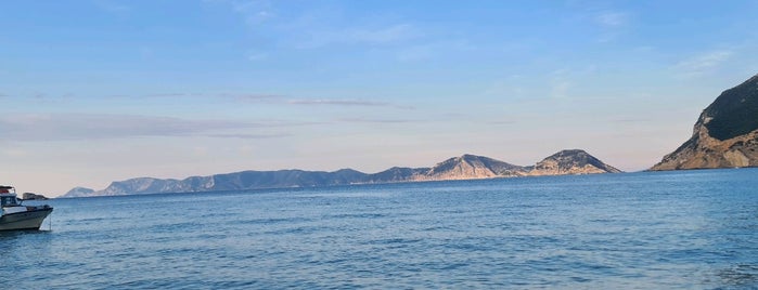 Γλυφονερι is one of Skopelos Beaches.