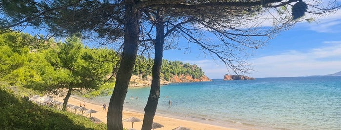 Chrysi Milia Beach is one of Allonisos.