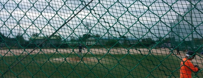 삼육대 패밀리 구장 is one of Baseball Park.