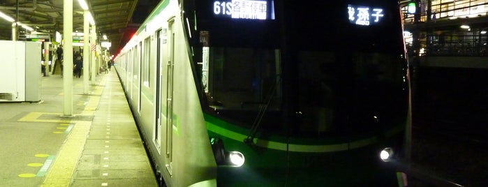 Kita-Kogane Station is one of 多摩急行(Tama Exp.) [小田急線/千代田線/常磐線].