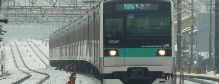 Minami-Kashiwa Station is one of 多摩急行(Tama Exp.) [小田急線/千代田線/常磐線].