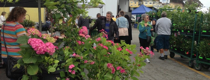 Alemany Farmers Market is one of San Francisco / Napa to-do.