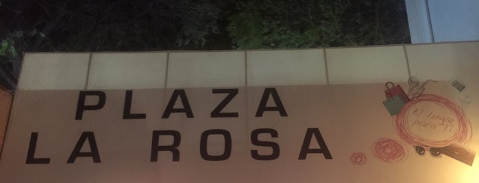 Plaza La Rosa is one of DF.