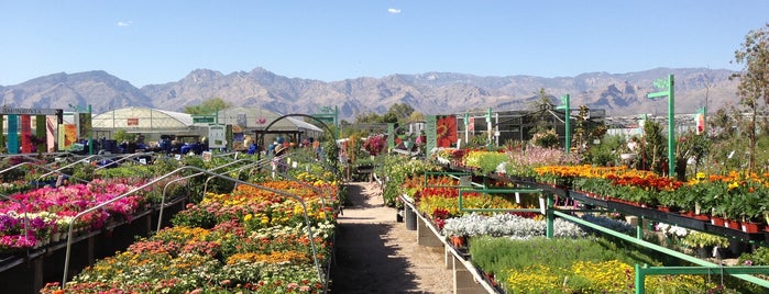 Mesquite Valley Growers is one of The 15 Best Places with Gardens in Tucson.