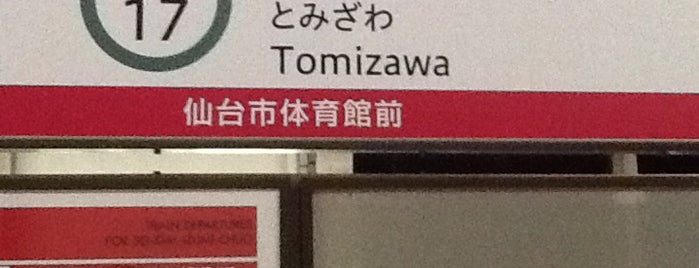 Tomizawa Station (N17) is one of 終着駅.