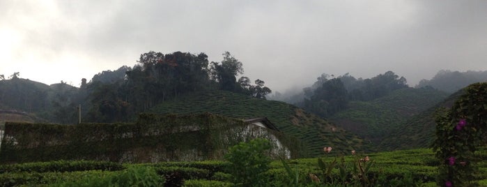 Surau Cameron Bharat is one of Cameron Highland.