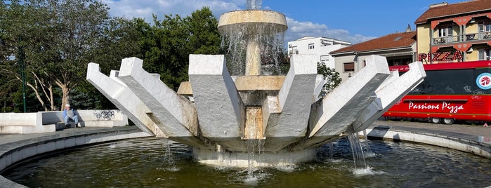 Lotus Fountain is one of All-time favorites in Macedonia.