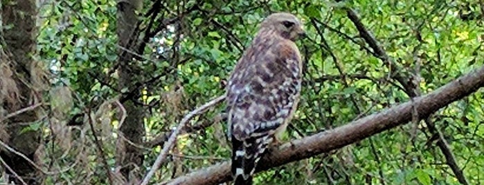 Crowder District Park is one of Great Parks in/near Cary.