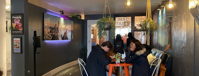 Mac Tabby Cat Café is one of Charlotte.