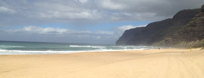Polihale State Park is one of Kauai things to do.