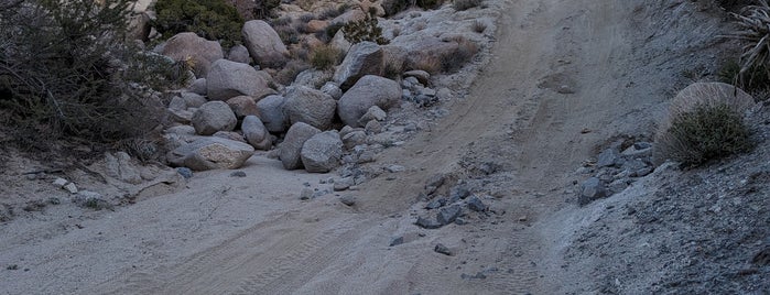 Anza-Borrego Desert State Park is one of CA.