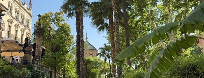 Hotel Alfonso XIII is one of Seville.