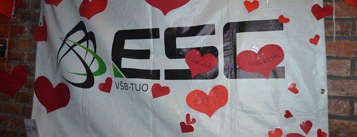 Erasmus Student Network VŠB-TUO is one of favourite.
