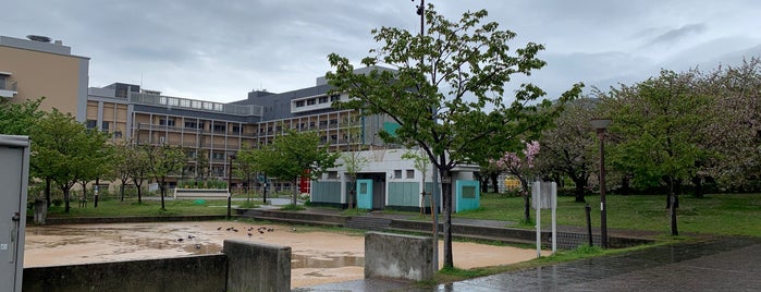 西郷川河口公園 is one of 近所の公園.