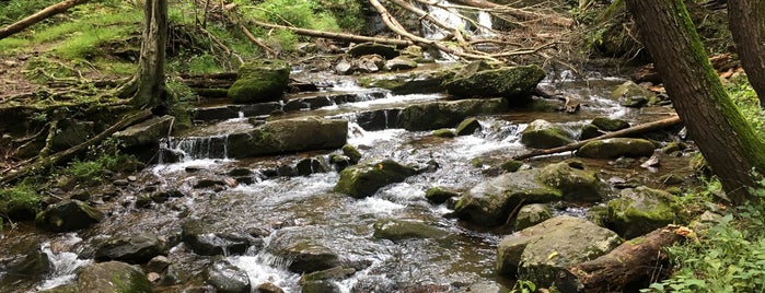 Appalachian Trail - Dunnfield Creek is one of Lieux qui ont plu à T.