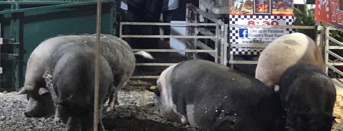 Wayne County Fairgrounds is one of Lugares favoritos de Marcia.