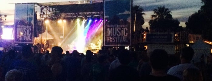 Mcdowell Mountain Music Festival is one of Best of Phoenix.