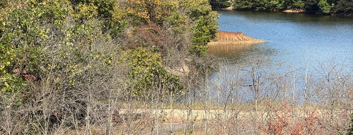 桜の迷宮 is one of Art on Naoshima.