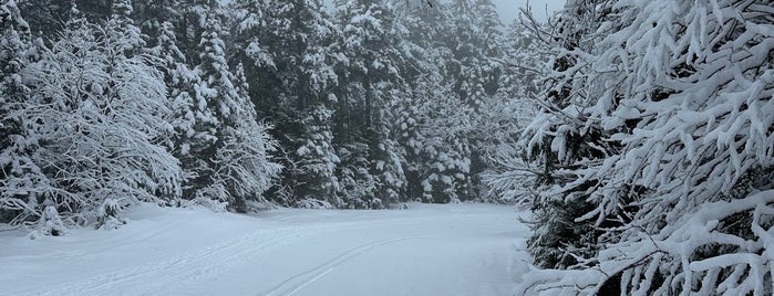 Barker Mountain is one of Recreation.