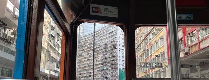 Lau Sin Street Tram Stop (40W) is one of TRAM Shau Kei Wan -> Happy Valley 筲箕灣 -> 跑馬地.
