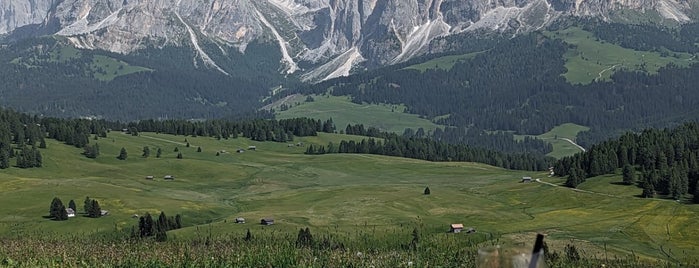 Malga Contrin is one of Dolomites.