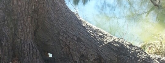 Spring Creek Forest Preserve is one of Lugares favoritos de Brandon.