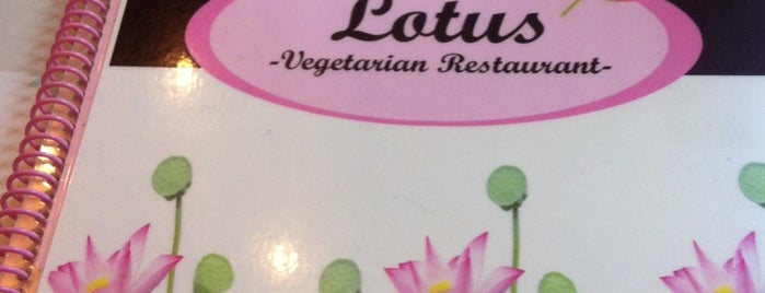 Lotus is one of Thai.