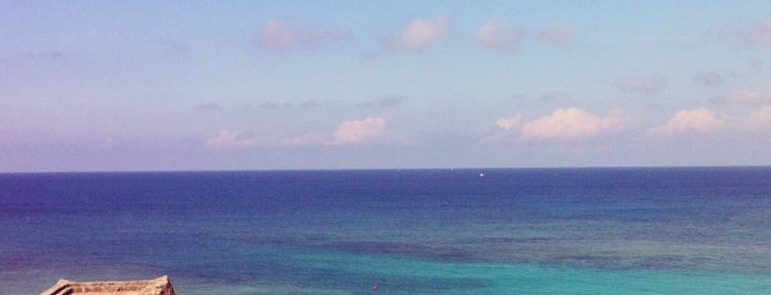 Gala  青い海 is one of Okinawa ✿ 沖縄.
