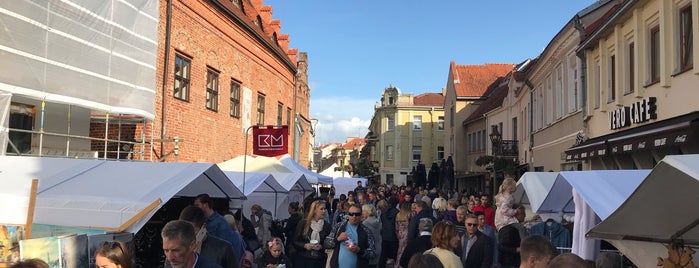 Senamiestis is one of Holidays in Lithuania.