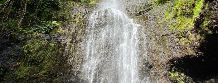 Wailua Falls is one of Jingyuanさんのお気に入りスポット.