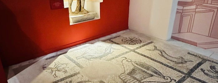 Efes Müzesi is one of Han'ın Beğendiği Mekanlar.