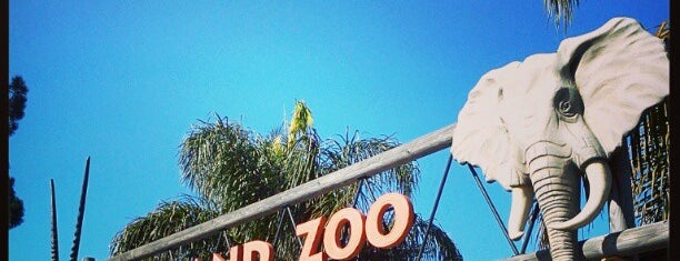 Oakland Zoo is one of Bay Area Kid Fun.