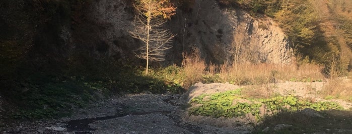 Uludere Alabalık Tesisleri is one of Lieux qui ont plu à Emrah.