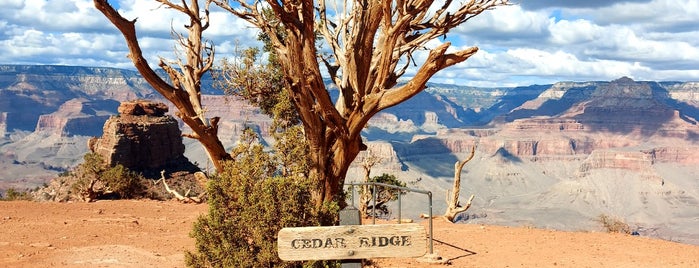 Cedar Ridge is one of Grand Canyon.