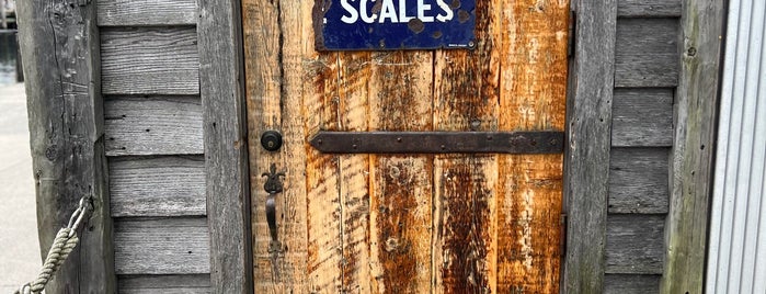 Scales is one of Maine.