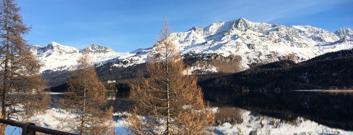 Plaun da Lej is one of St. Moritz / Engadin.