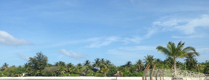 LUX* South Ari Atoll is one of Orte, die Nina gefallen.