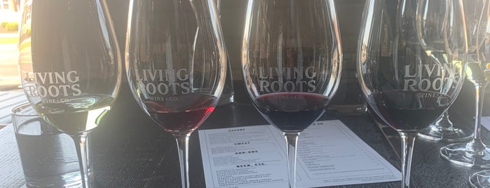 Living Roots Wine & Co. is one of Rochester.