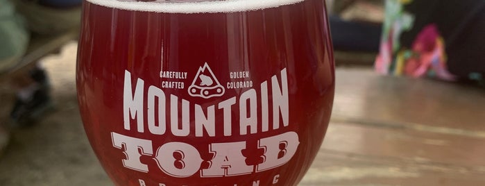 Mountain Toad Brewing is one of Top picks for Colorado Breweries.