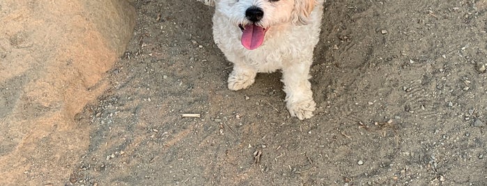 Quincy Reservoir Dog Park/grandview dog park is one of Dog Parks & Runs.