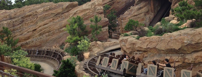 Grizzly Gulch is one of Hong Kong Disneyland.