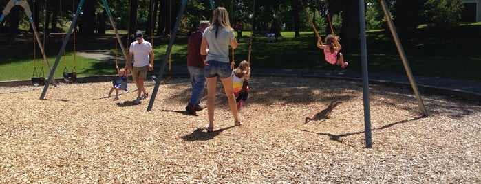 South Mill Playground is one of Brandon's Saved Places.