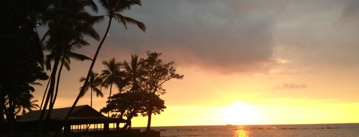 Kahalu'u Beach is one of Hawai'i Essentials.