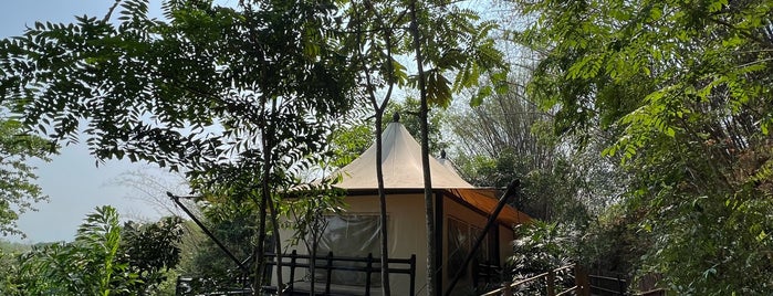 Four Seasons Tented Camp Golden Triangle, Thailand is one of Southeast Asia.
