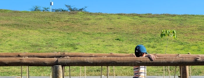 Parque da Cidade is one of Top 10 favorites places in Jundiaí.