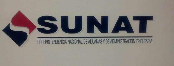 SUNAT is one of Sector publico.