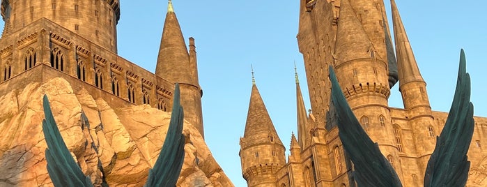 Harry Potter and the Forbidden Journey is one of Tempat yang Disukai Ihor.